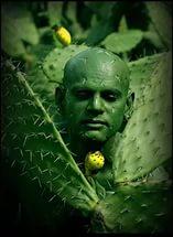 Люди - кактусы