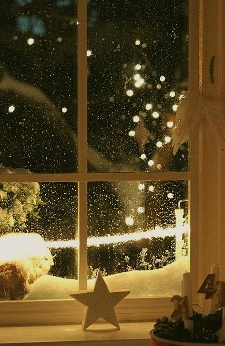 Сто зим... (брахиколон)