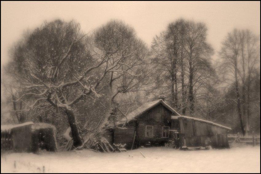 Дневник жизни