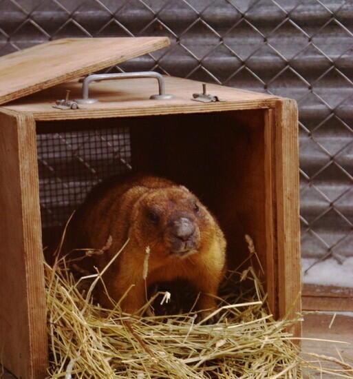 Странный день...