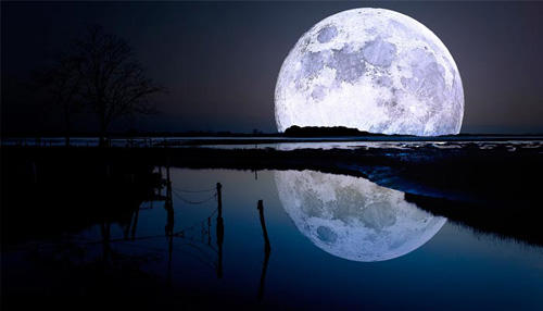 Безбрежность мира лунной ночью...