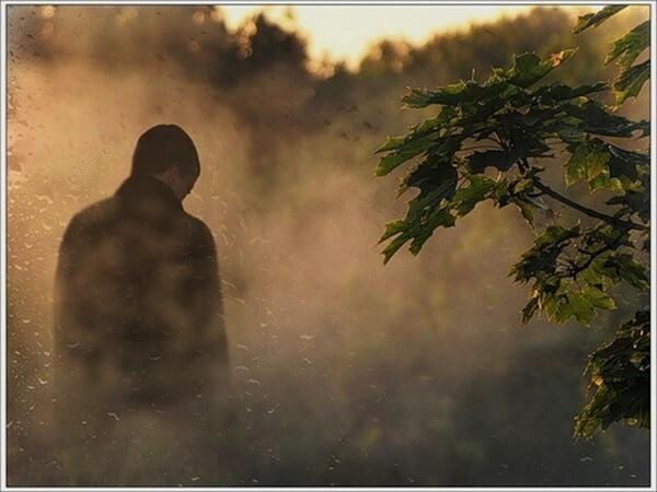 На ошибках мы не учимся