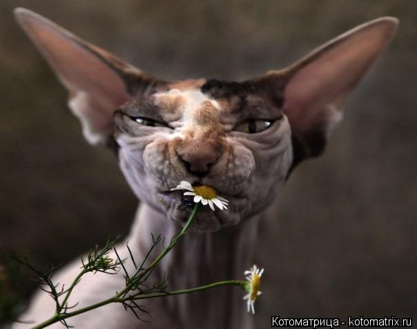 совсем страх потерял...