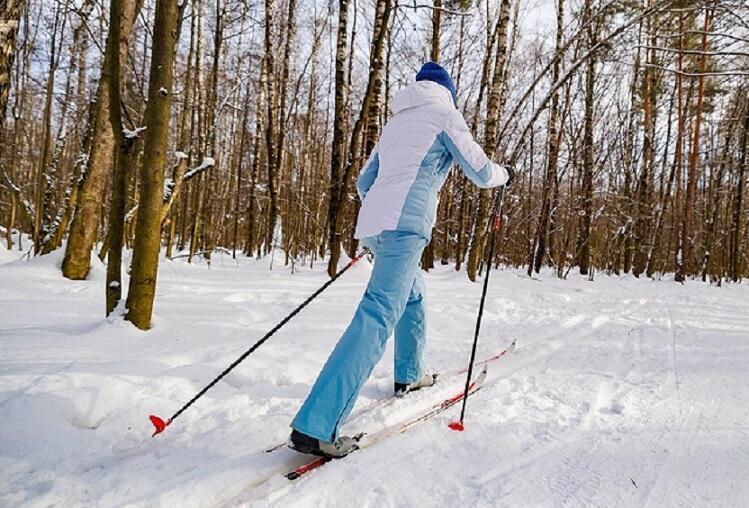 Под солнечным впечатлением