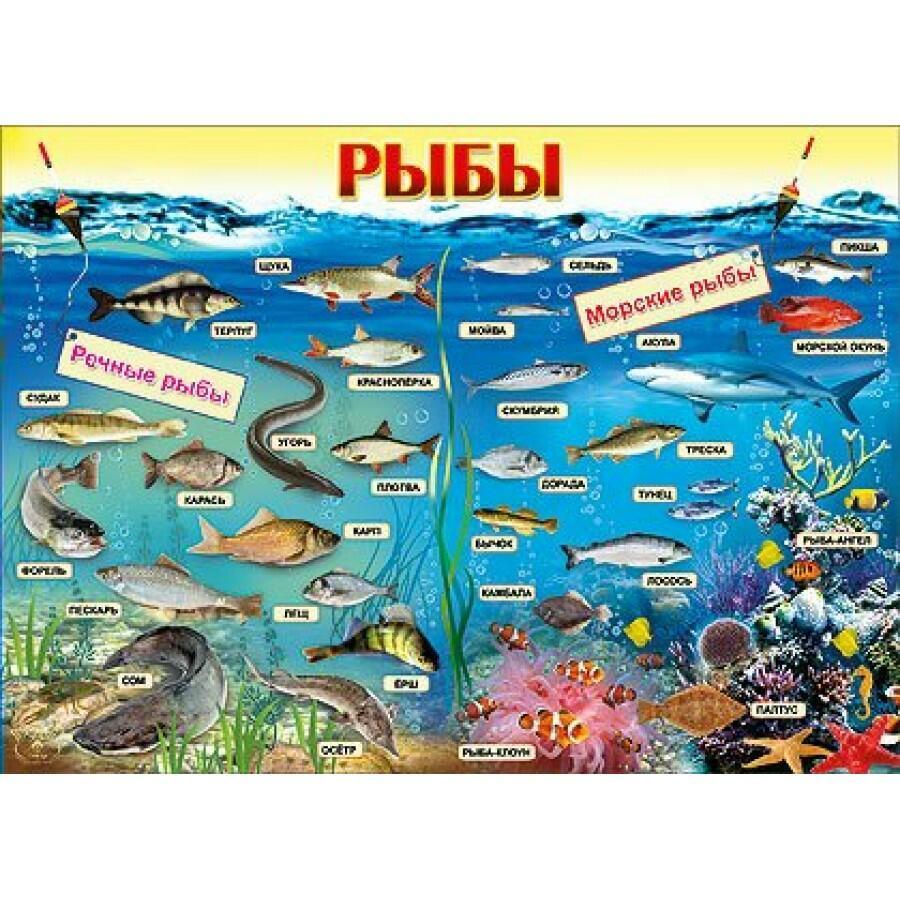 Азбука про Рыб