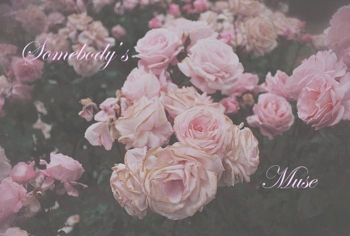 Somebodys Muse