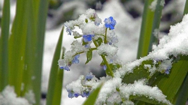 Следы. Книга 3. Часть 3. Глава 11. Чистота