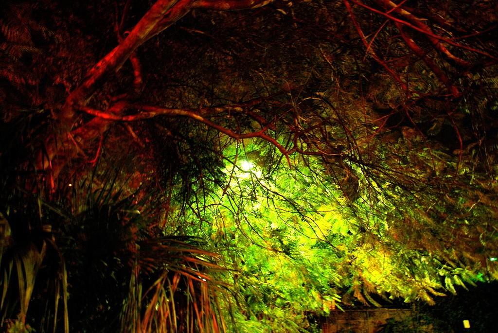 Как всё начиналось