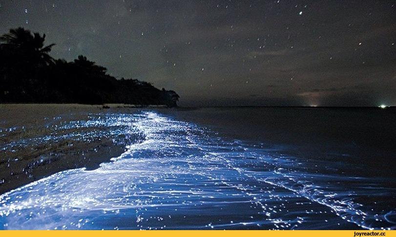 Так и запомнит сердце