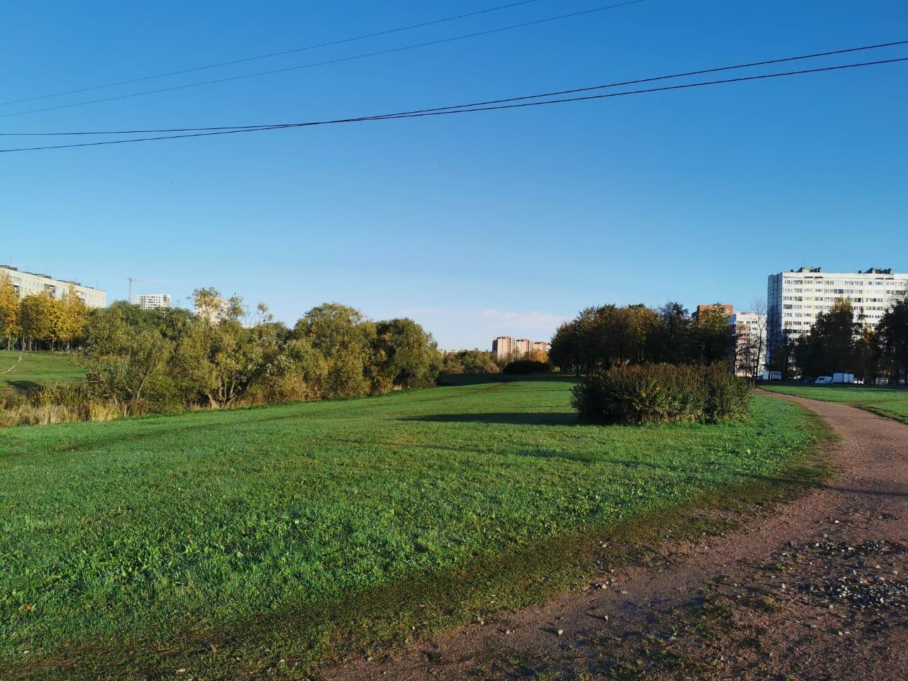 ВЕТЕР И ЛИПА