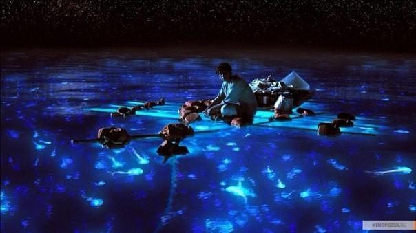 Приносит сон мне звуки океана.