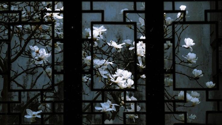 Очередное больное решение.