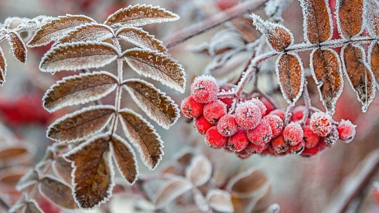 ВСЁ   ВОЗВРАЩАЕТСЯ   ПО  КРУГУ