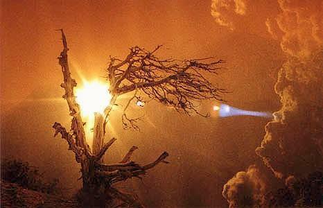 Мне кланяется бытиё...✨  Мастеринг ALEKS_BCH /Алексей Захаров/ & SUNO