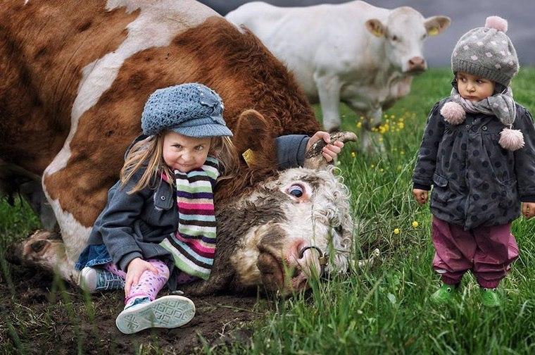 быка за рога!(шуточное)