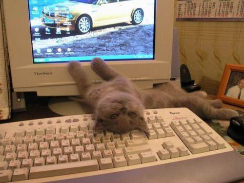 Невесомый эфир