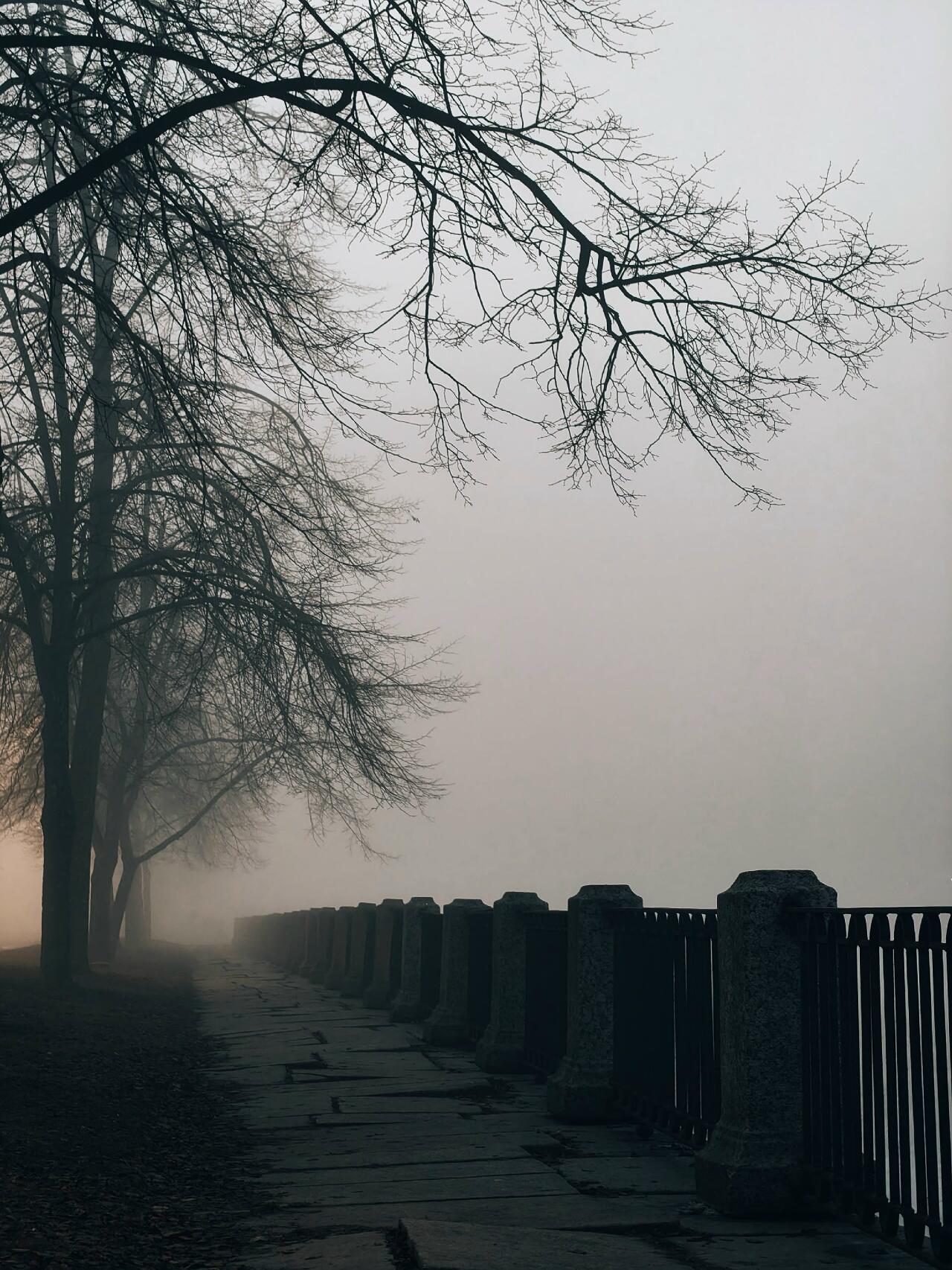 "Дивное одиночество" (29.03.2026)