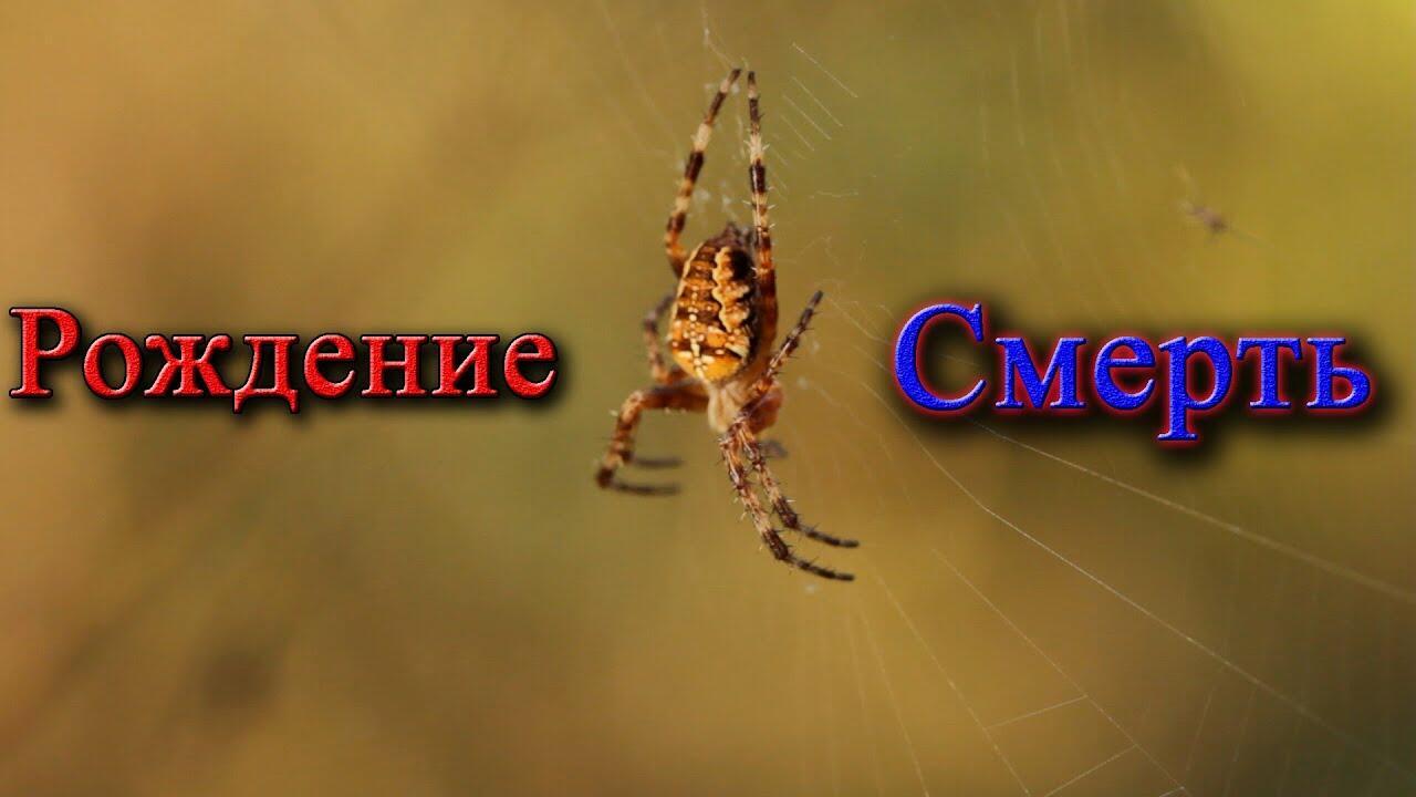 Жизнь, время, деньги.