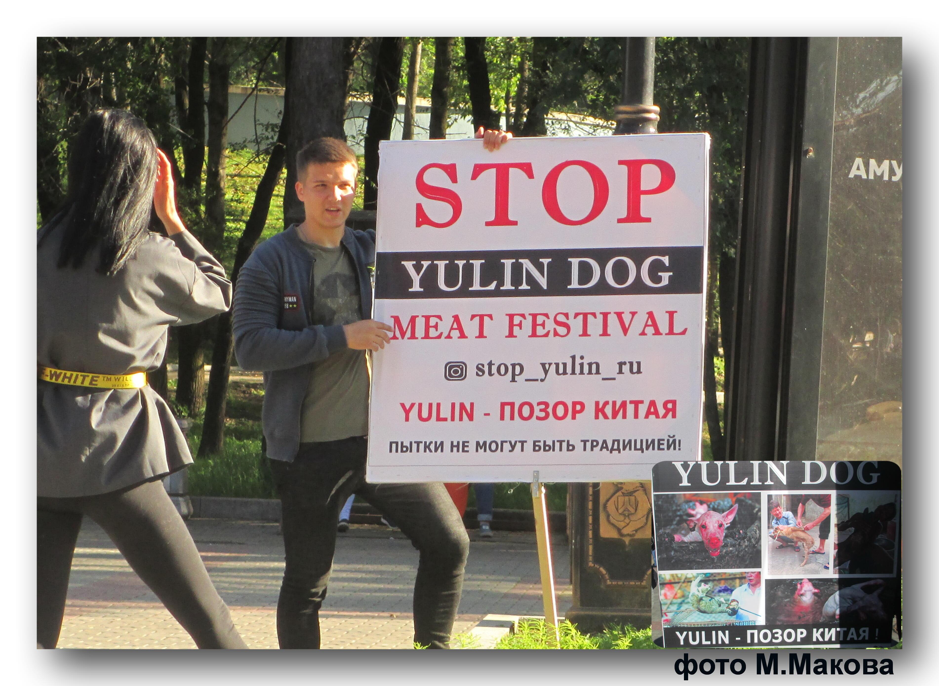 Yulin dog
