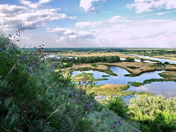 Умом Россию не понять