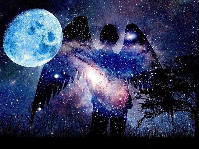 Тысяча и двести пустых ночей...