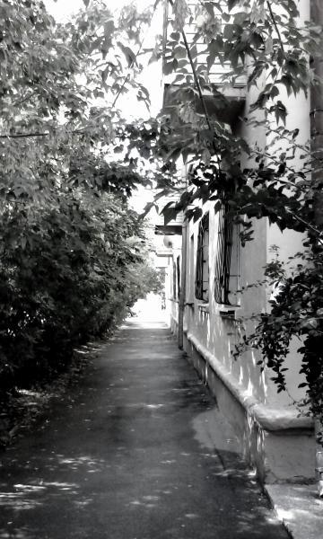 Легко в груди, свободно в голове ...