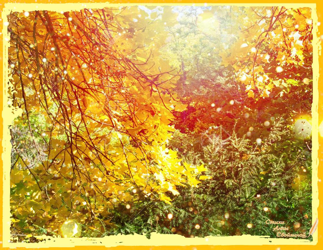 Осенняя палитра 