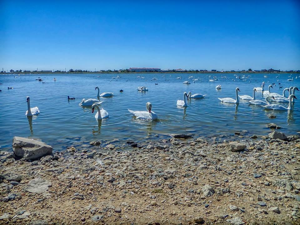 Люди, как корабли