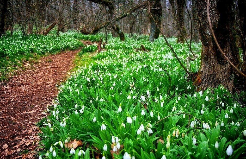 ОБЫЧНЫЙ ДЕНЬ!