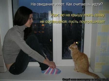 Вздыхаешь хозяйка? - разные коты 85