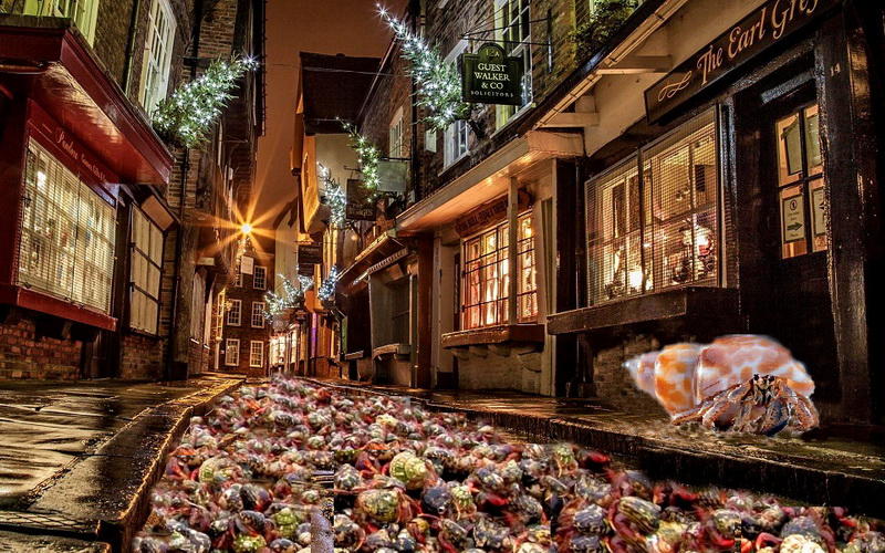 Отшельники... Мы все - отшельники...