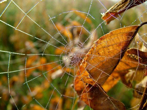 Последняя неделя лета