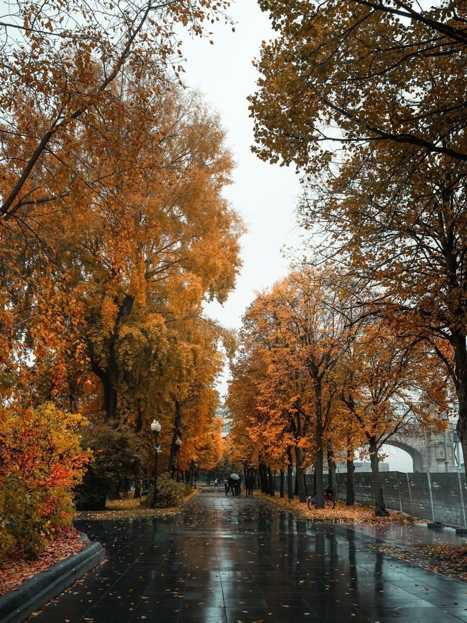 Осенняя соната (Вечерние стихи. Новое)