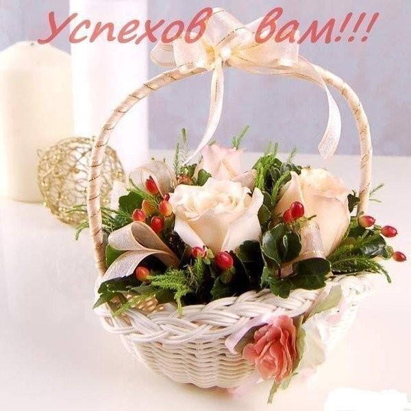 РАДОСТЕЙ НЕТ...