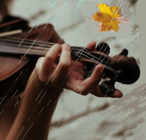 Музыка дождя