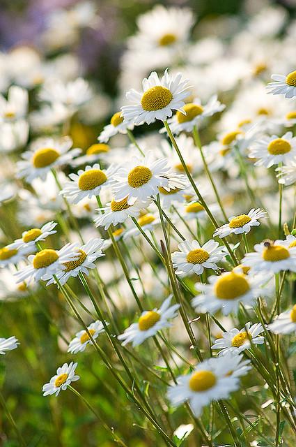 ПОТОМ ВОЗДАСТСЯ ? (валик)