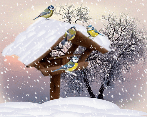 Синицы, снег...