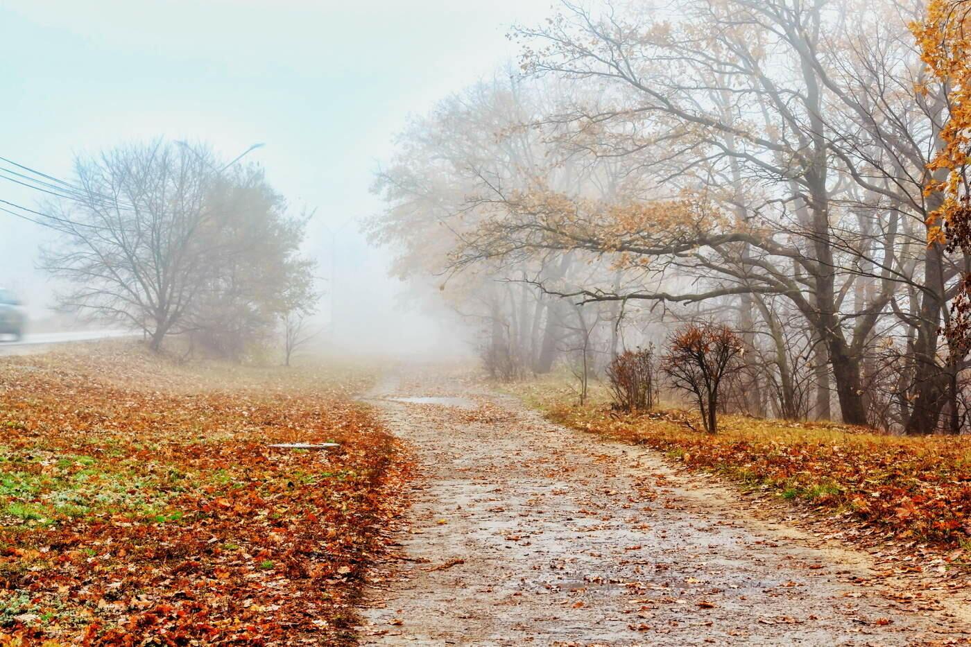 Осенняя зарисовка