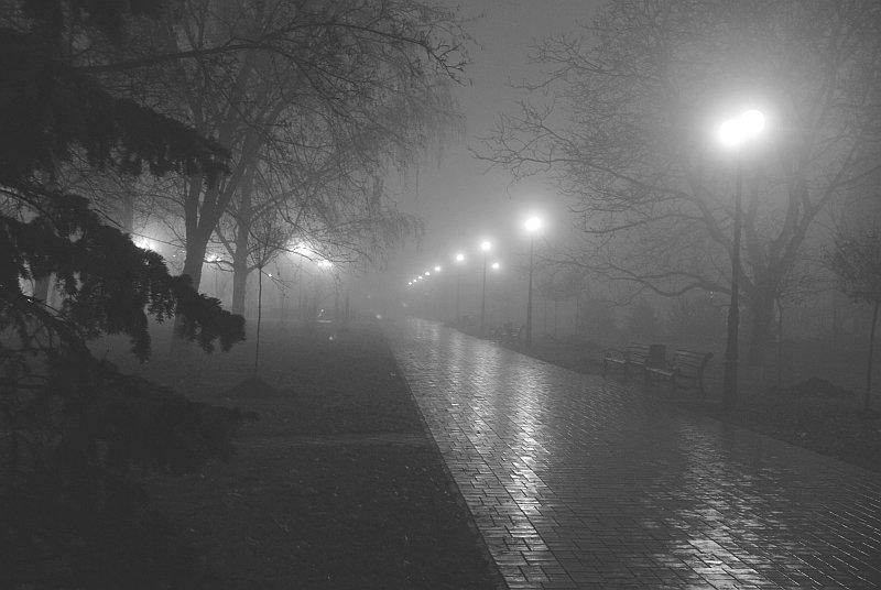 Осенний город утонул в тумане