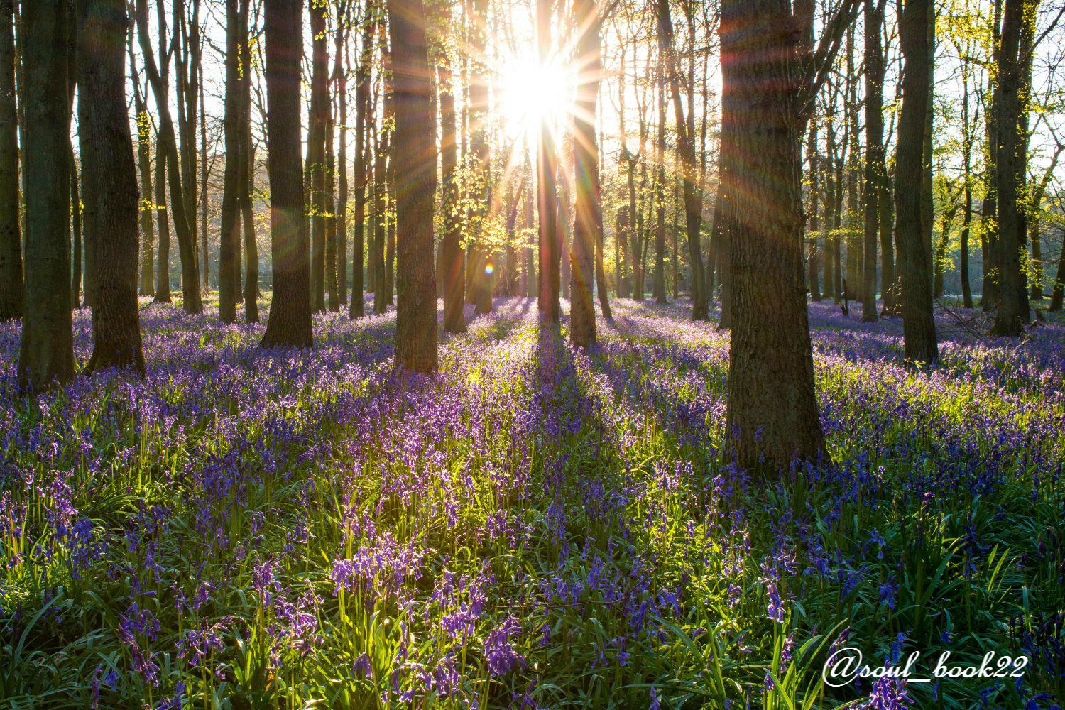 Мы приходим не просто в судьбу