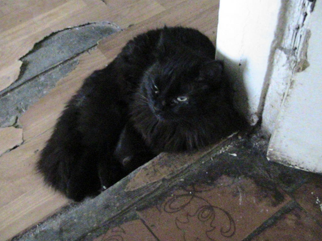 Хотелось сказать...