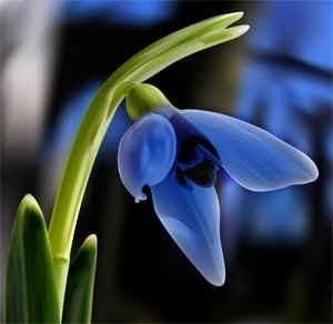 В день 8 Марта