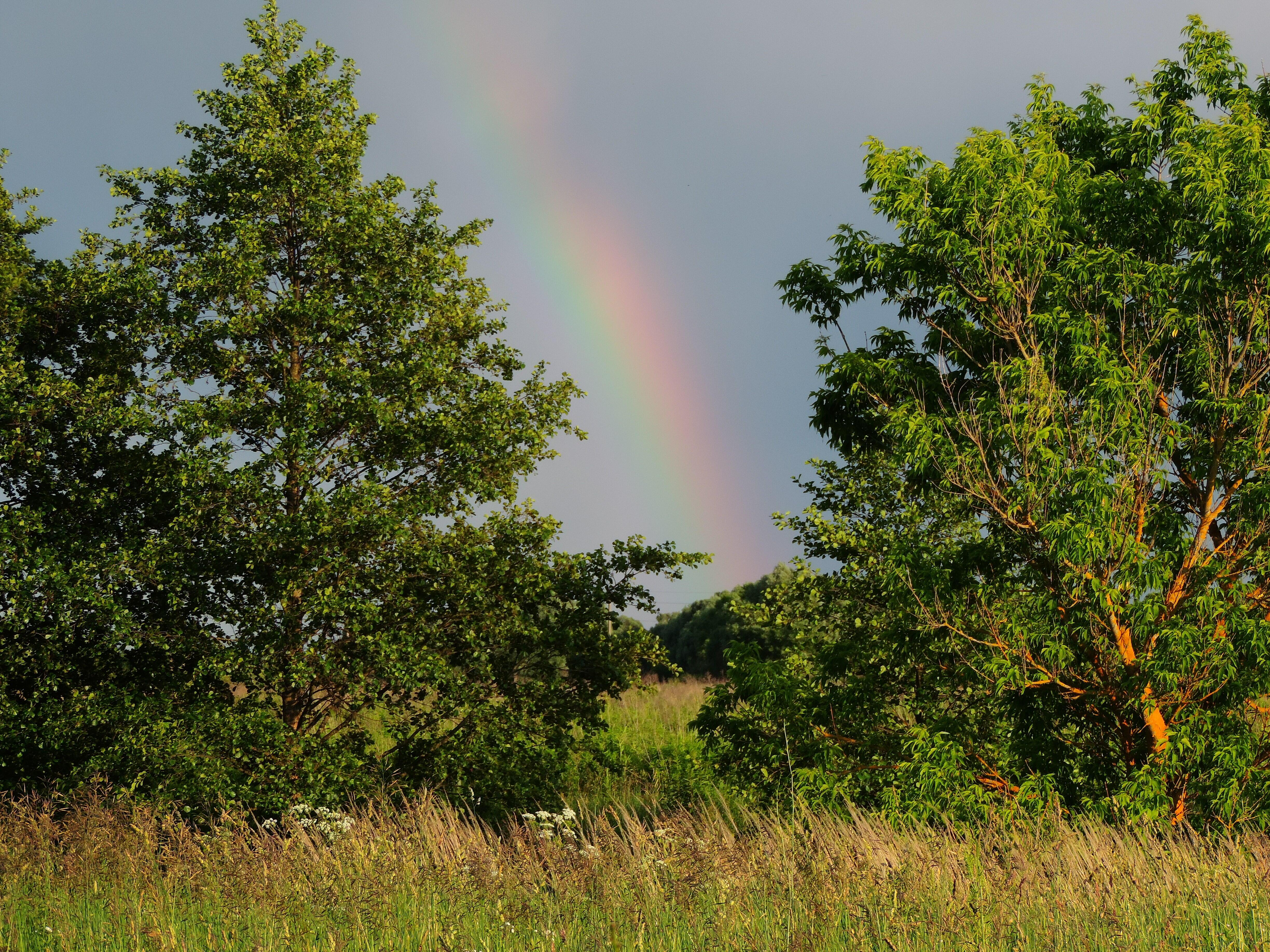 Веря в благодать!