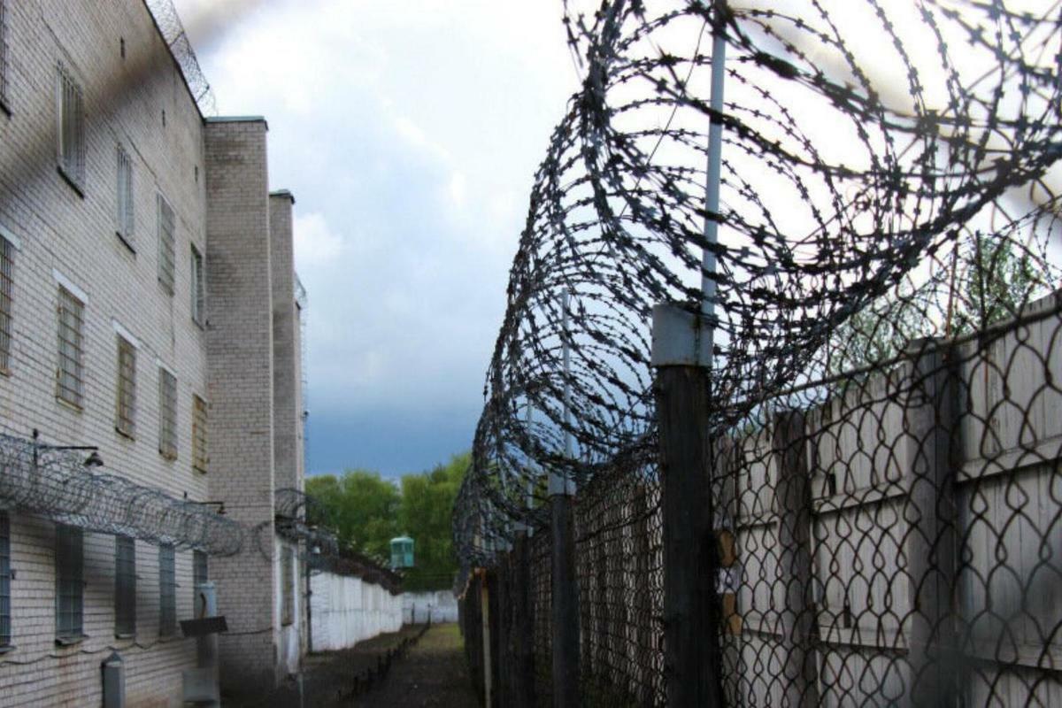 За колючкой весна