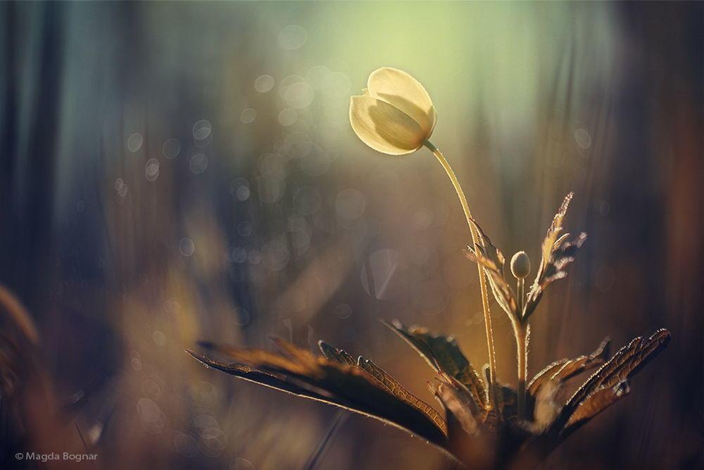 Дневной цикл