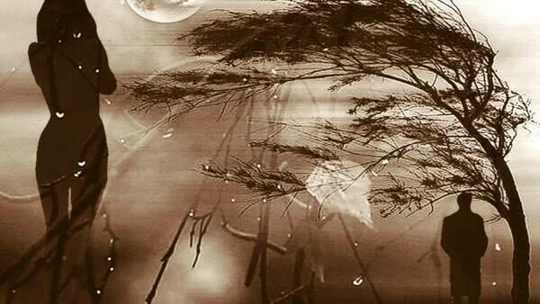 ЖЕСТОКАЯ ПАМЯТЬ