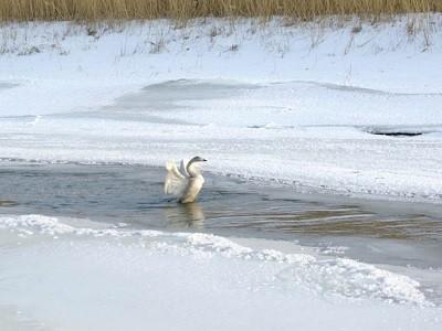 Давай не будем замерзать
