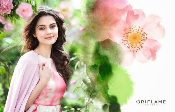 Зацвел шиповник