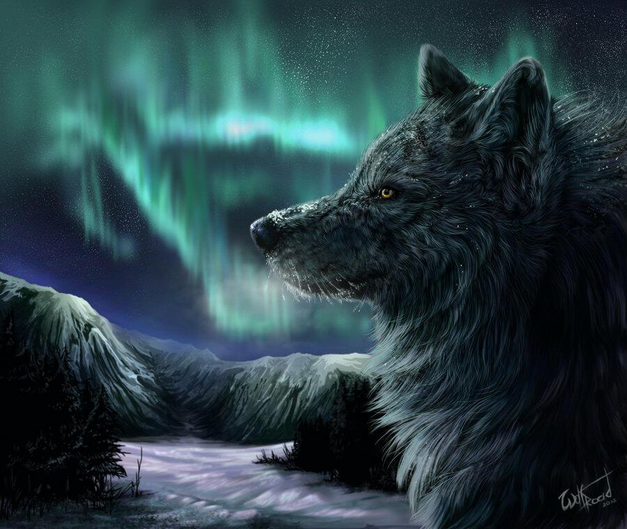 Волк-одиночка