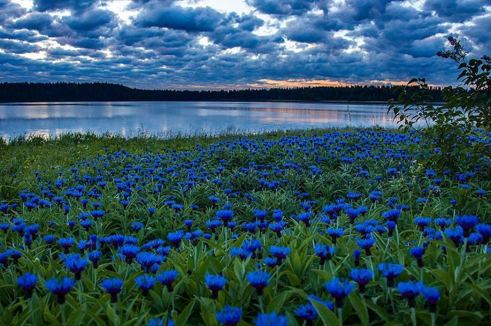 РАЗДУМЬЕ О ЛЮБВИ